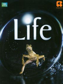 ReteQuattro "Life"