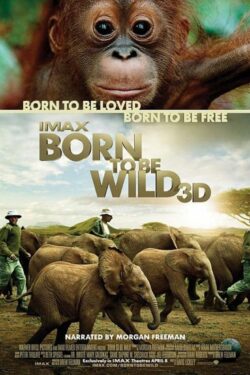 Locandina – Born to Be Wild 3D