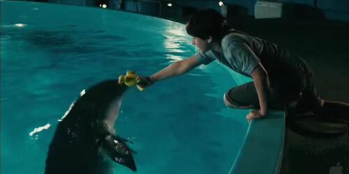 Clip ‘Here You Go Winter’ – Dolphin Tale
