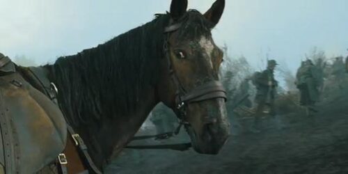 Trailer 2 – War Horse