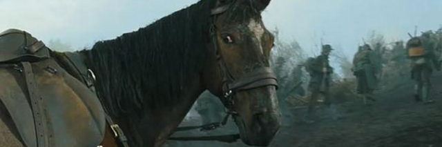 Nuovo trailer di War Horse di Steven Spielberg
