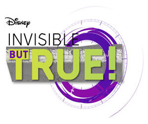 Invisible But True su Disney XD