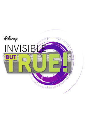 Invisible But True