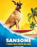 Sansone: la recensione