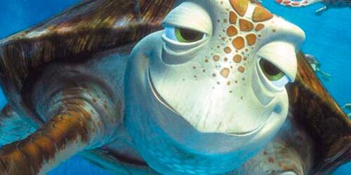 Alla Ricerca di Nemo: conosciamo Scorza e Guizzo, le tartarughe