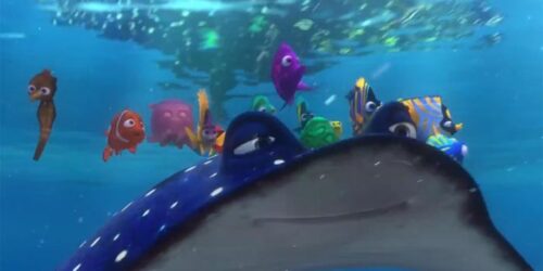 Clip Il Maestro Ray – Alla ricerca di Nemo