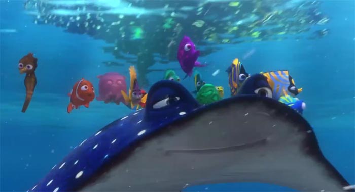 Clip Il Maestro Ray - Alla ricerca di Nemo