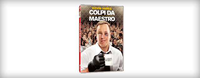 Il DVD di Colpi da Maestro