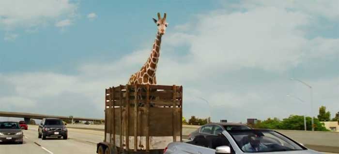 Spot La Giraffa - Una notte da leoni 3