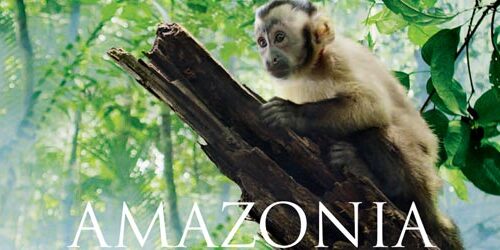 Venezia 70: Amazonia di Thierry Ragobert chiude il Festival