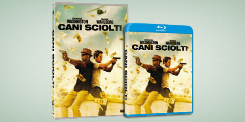 Cani Sciolti in DVD, Blu.ray dal 19 Febbraio