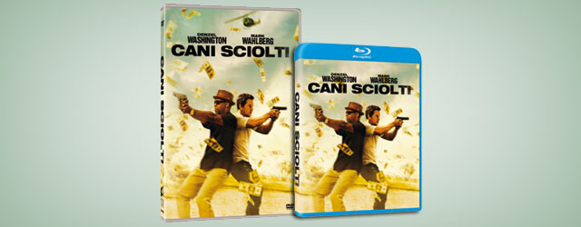 Cani Sciolti in DVD, Blu.ray