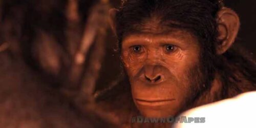 Spot TV – Dawn of the Planet of the Apes