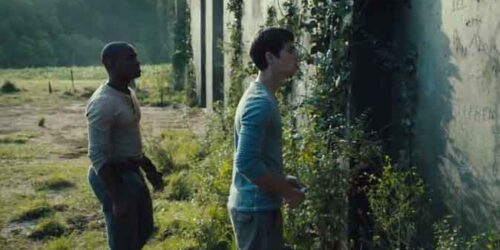 Trailer – The Maze Runner