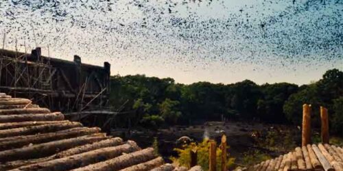 Featurette Gli animali – Noah