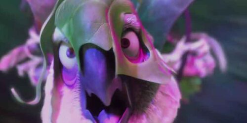 Clip I will survive – Rio 2: Missione Amazzonia