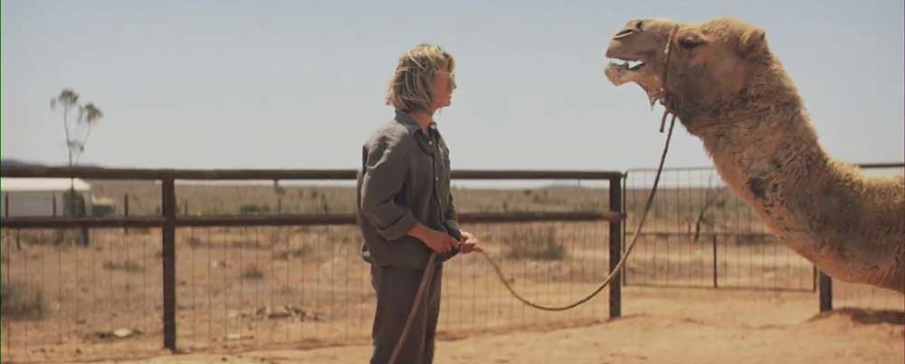 Clip La signora dei cammelli - Tracks - Attraverso il deserto
