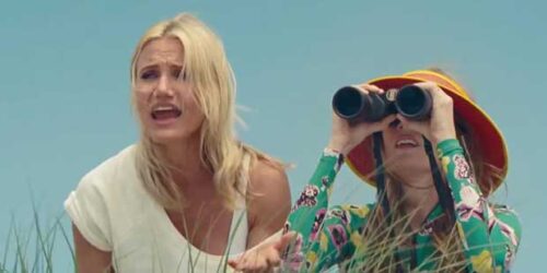 Clip Beach Stakeout – Tutte contro lui – The Other Woman