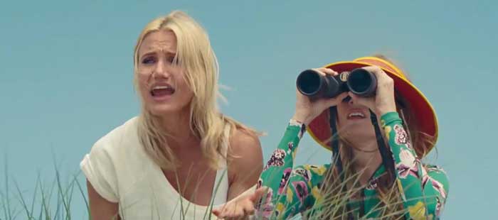 Clip Beach Stakeout - Tutte contro lui - The Other Woman