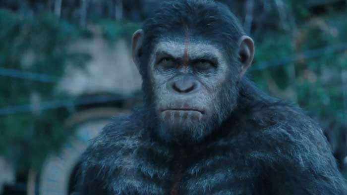 Clip La storia di Caesar - Apes Revolution Il pianeta delle scimmie