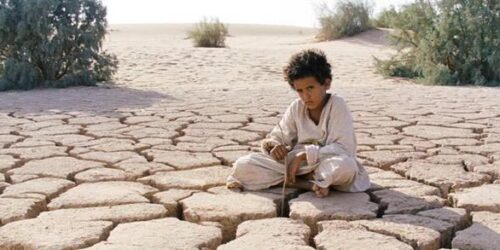 Venezia 71: Naji Abu Nowar Miglior Regia Orizzonti per Theeb