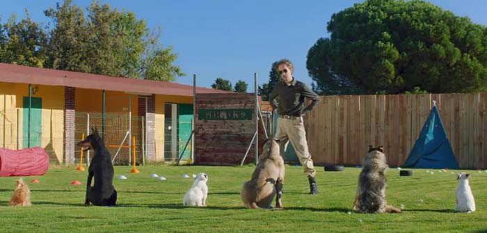 Clip Campo di addestramento - Pongo il cane milionario