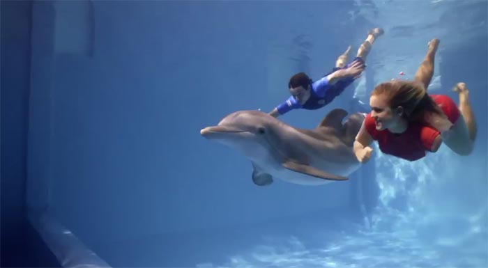 Clip Bet e Saw - L'incredibile storia di Winter il delfino 2