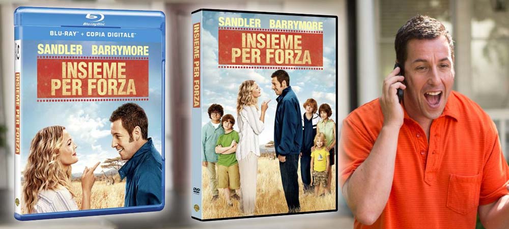 Insieme per forza n DVD, Blu-ray e BD3D