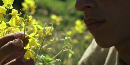 Il giovane favoloso – Clip Visita a Pompei