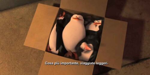 I pinguini di madagascar – I consigli di viaggio di Skipper