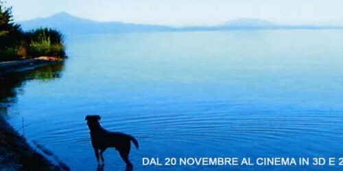 Adieu au Langage di Jean Luc Godard al cinema dal 20 Novembre