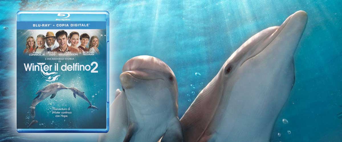 blu-ray di L'incredibile storia di Winter il delfino 2