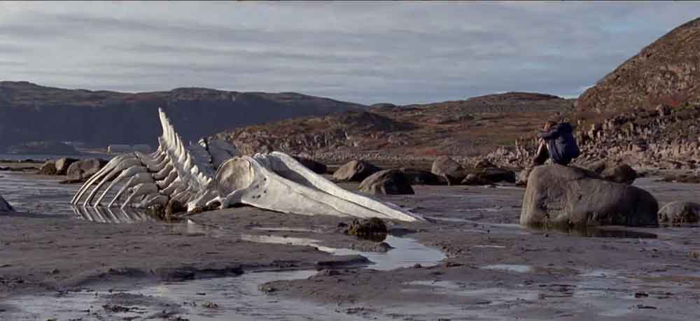 Leviathan - Trailer italiano