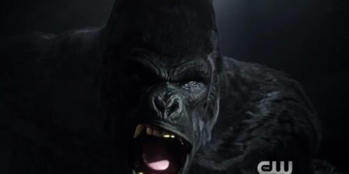 The Flash – 1×21 Grodd Lives – Trailer