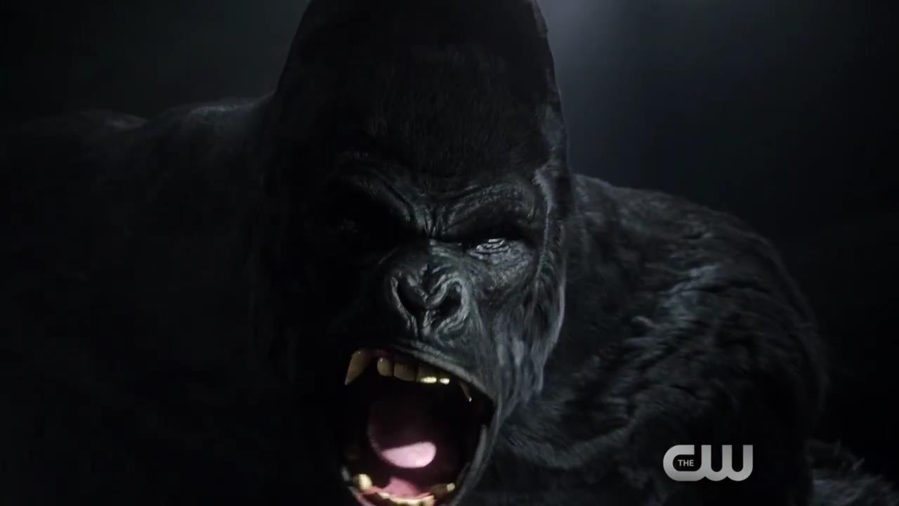 The Flash - 1x21 Grodd Lives - Trailer