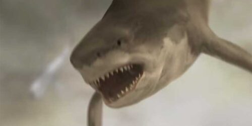 Trailer – Sharknado 2