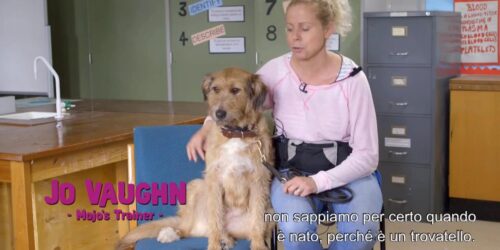 Un’occasione da Dio – Featurette Il cane Mojo