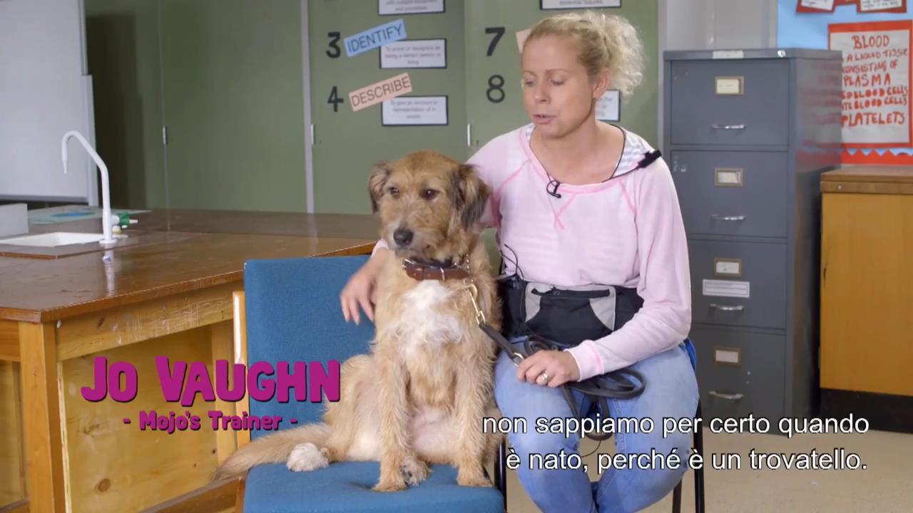 Un'occasione da Dio - Featurette Il cane Mojo