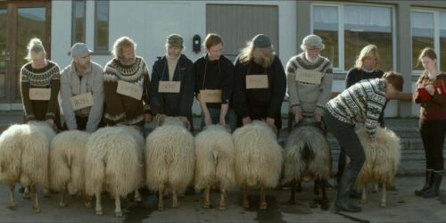 Rams, al cinema la storia di due fratelli e otto pecore