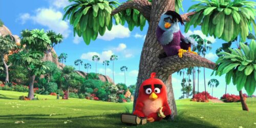 Angry Birds – Il Film – Gli auguri di San Valentino