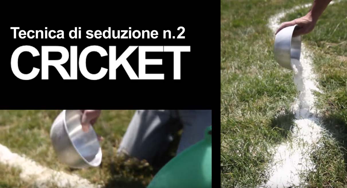 Un Paese Quasi Perfetto - Tecniche di seduzione: il cricket