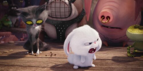 Pets – Vita da animali – Trailer italiano 2