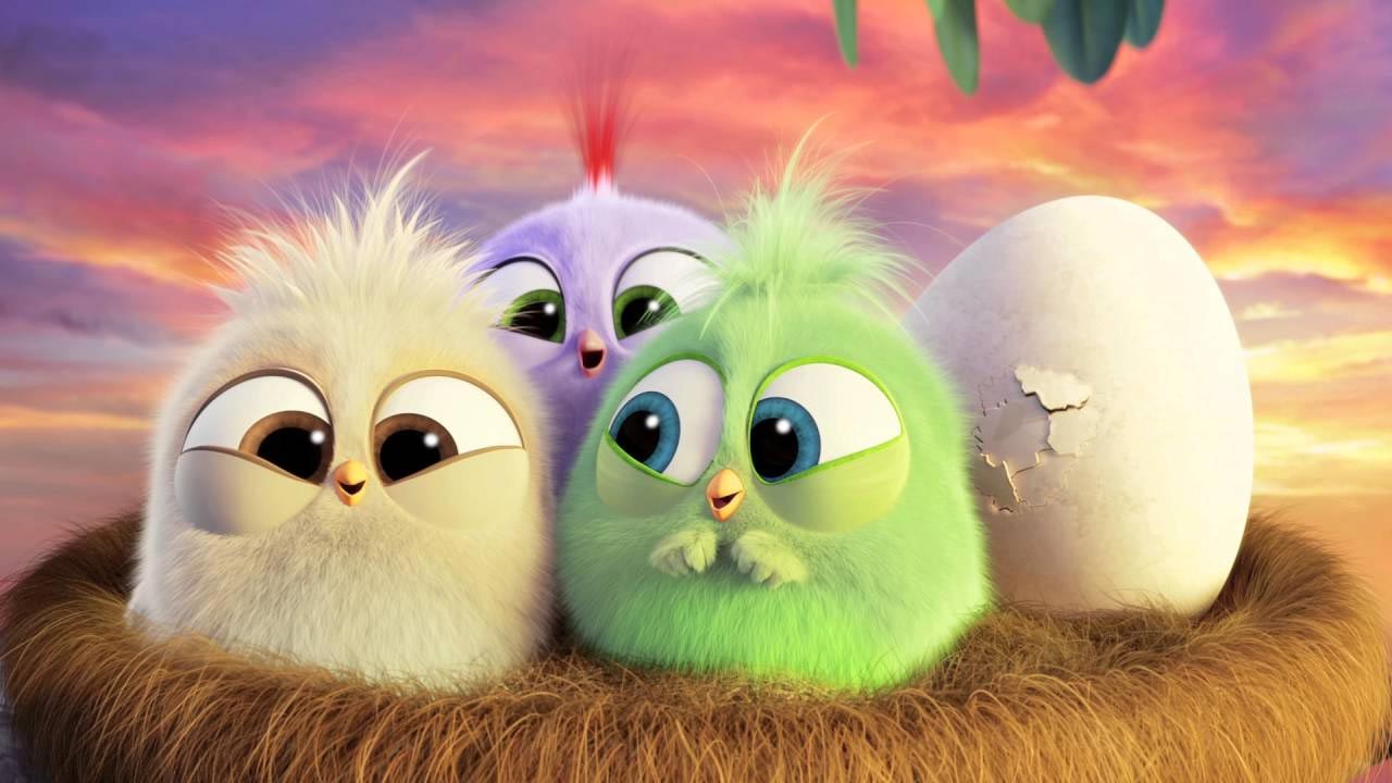 Angry Birds - Il Film - I pulcini augurano buona Festa della Mamma