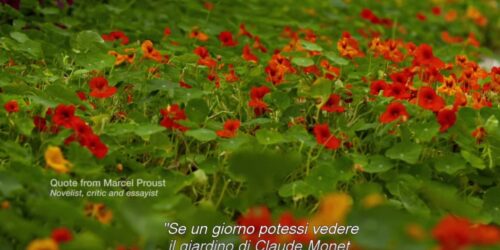 Clip – Da Monet A Matisse: L’arte Di Dipingere Il Giardino Moderno