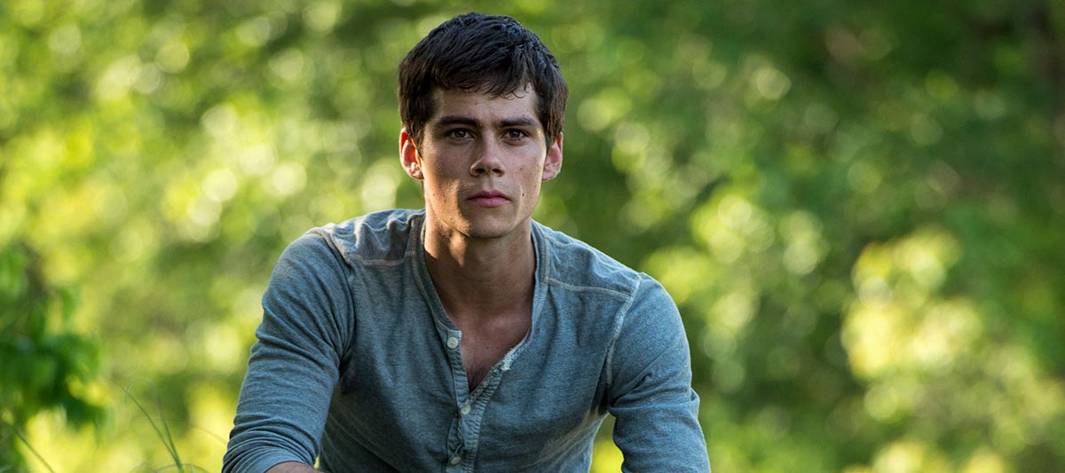 Dylan O'Brien Maze Runner