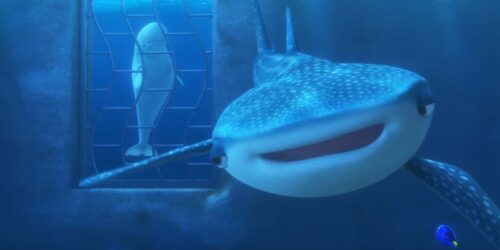 Alla ricerca di Dory – Clip L’eco localizzatore