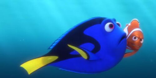 Clip italiana ‘Dove siete finiti?’ dal film Alla ricerca di Dory