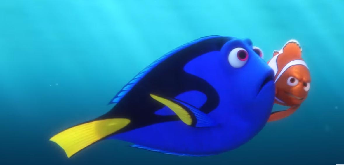 Clip italiana 'Dove siete finiti?' dal film Alla ricerca di Dory