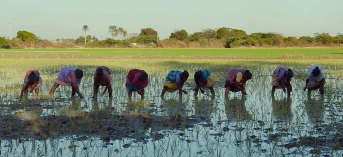 Domani - Clip L'agroecologia