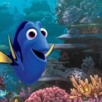 Alla ricerca di Dory, Recensione